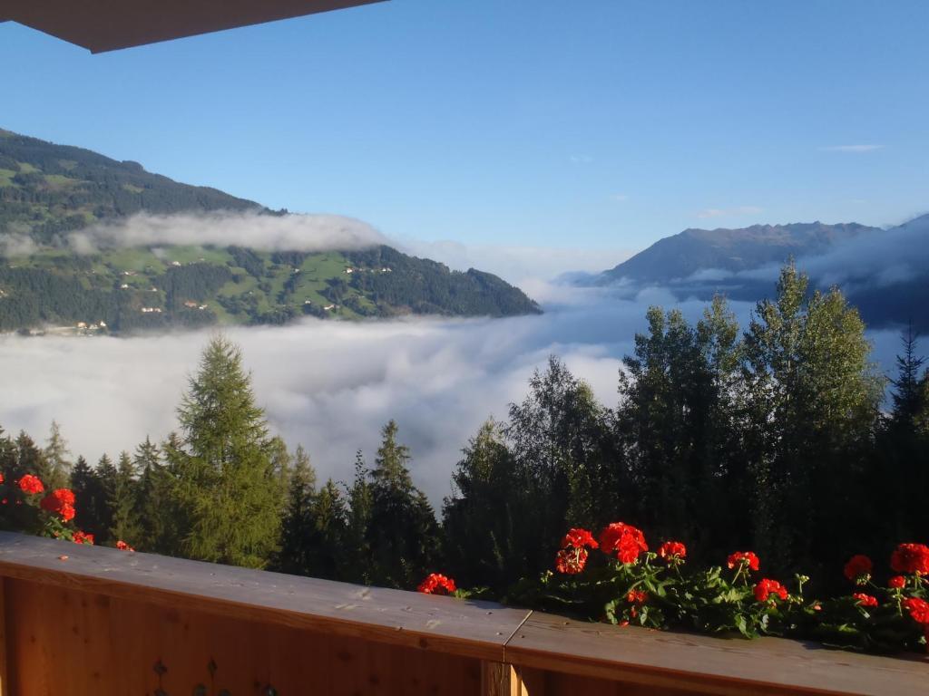 Landhaus Alpenjaeger Hainzenberg Oda fotoğraf